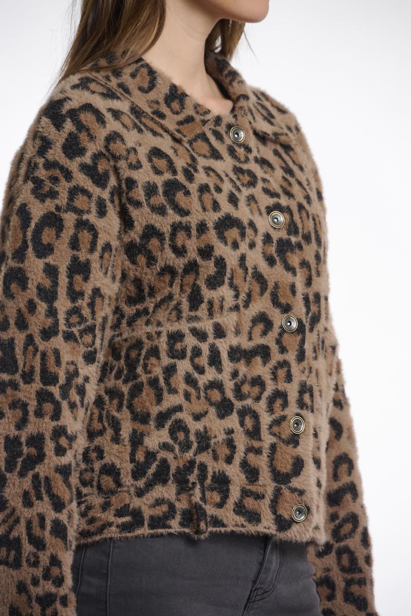 Rino & Pelle Vest Bubbly.5012511 Bruin 3