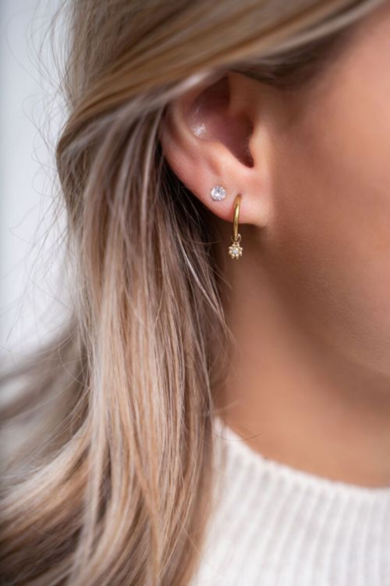 My Jewellery My Jewellery Oorbellen MJ07322 Goud 2