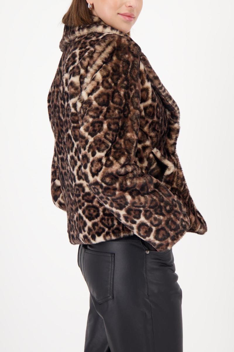 Monari Jack 809417 Bruin 4