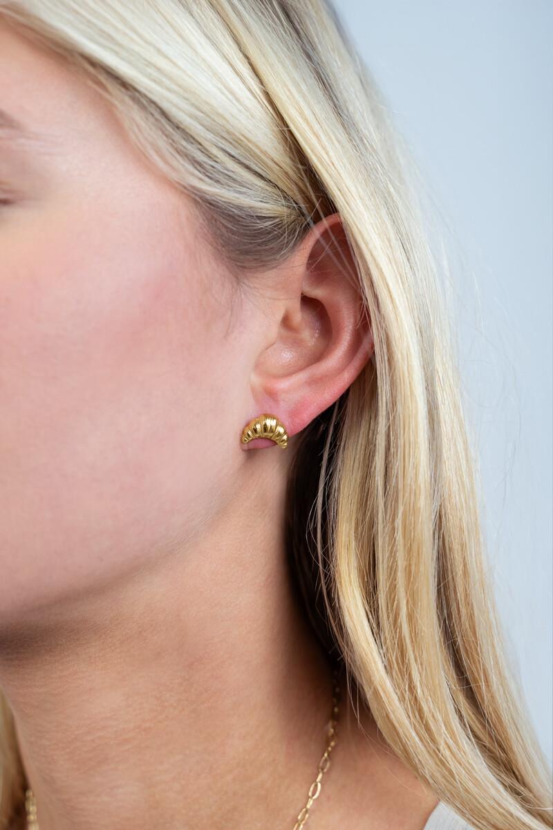 Oorbellen MJ12577