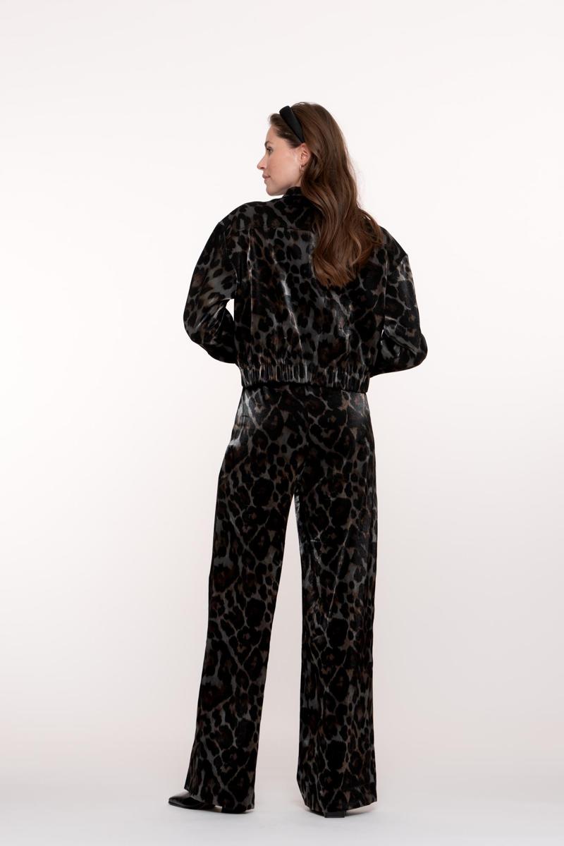 Geisha Pantalon 51682-20 Grijs 3
