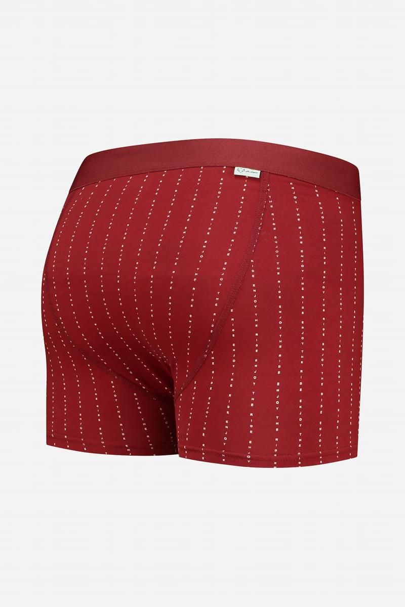 A-dam A-dam Boxershort Bloody Stripes Rood 3