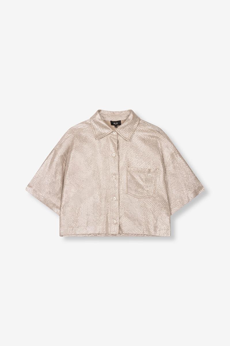 Alix The Label Blouse 2506915126 Zilver 2