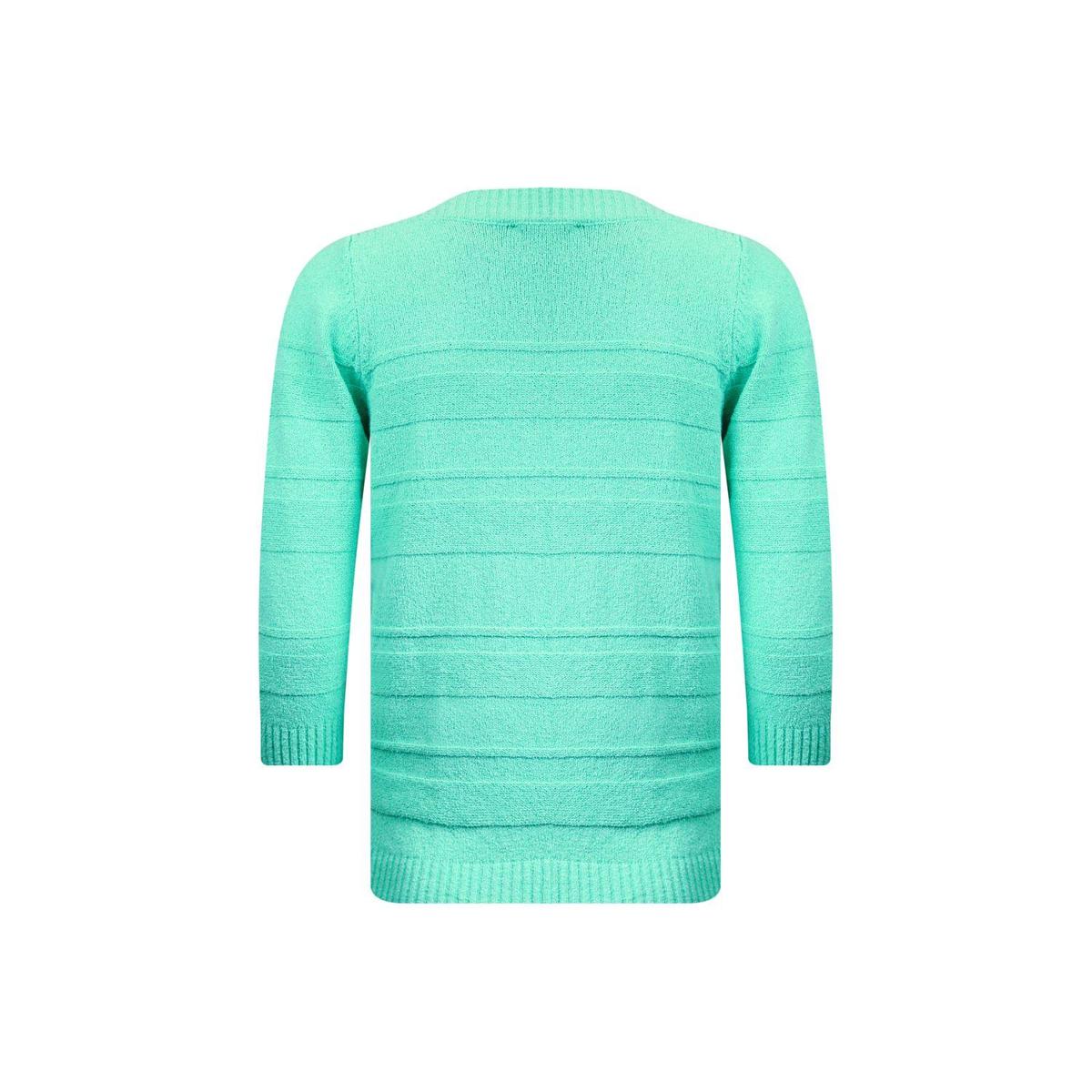 Roberto Sarto Roberto Sarto Trui 511138 Groen 5