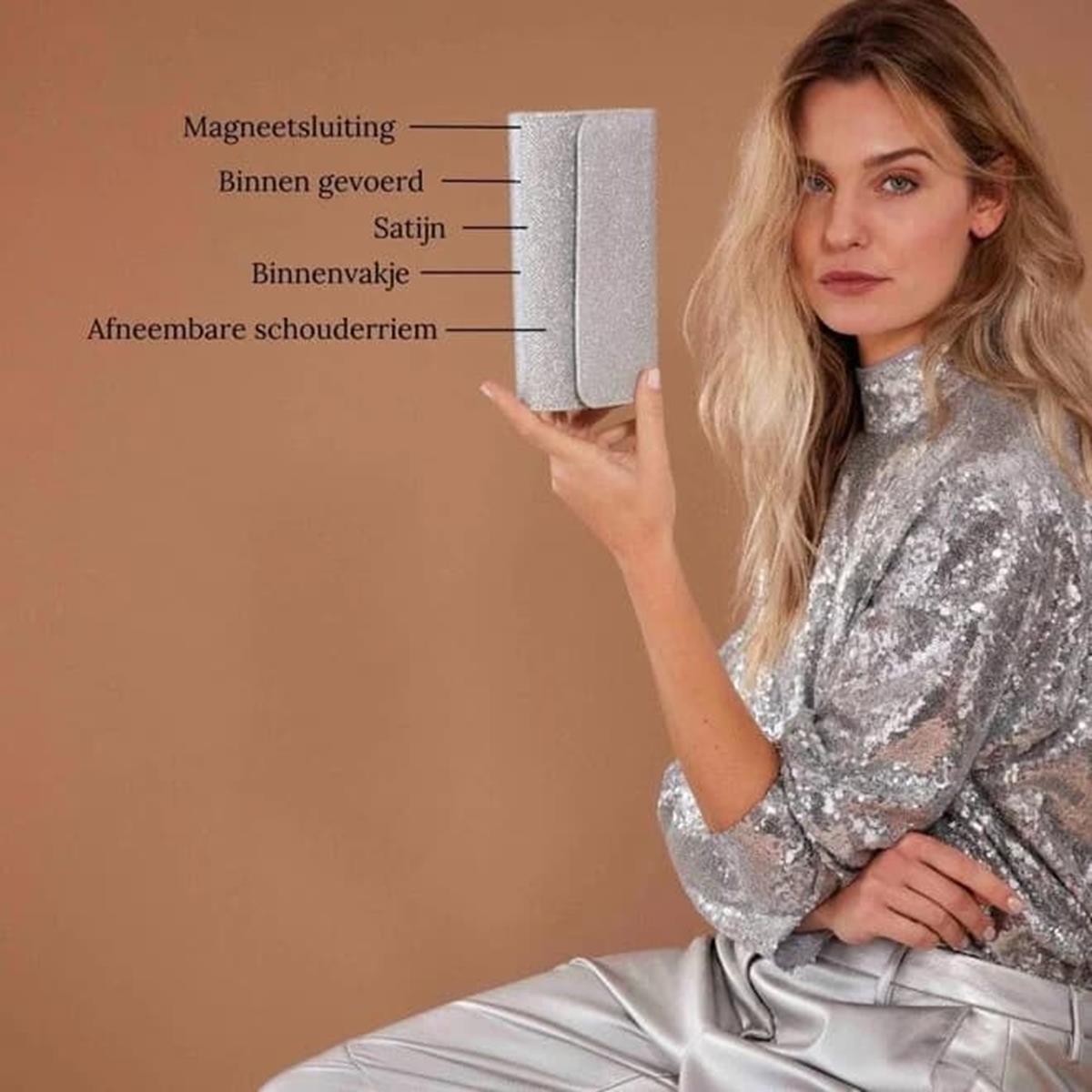 Bulaggi Tas Dianne-32652 Zilver 4