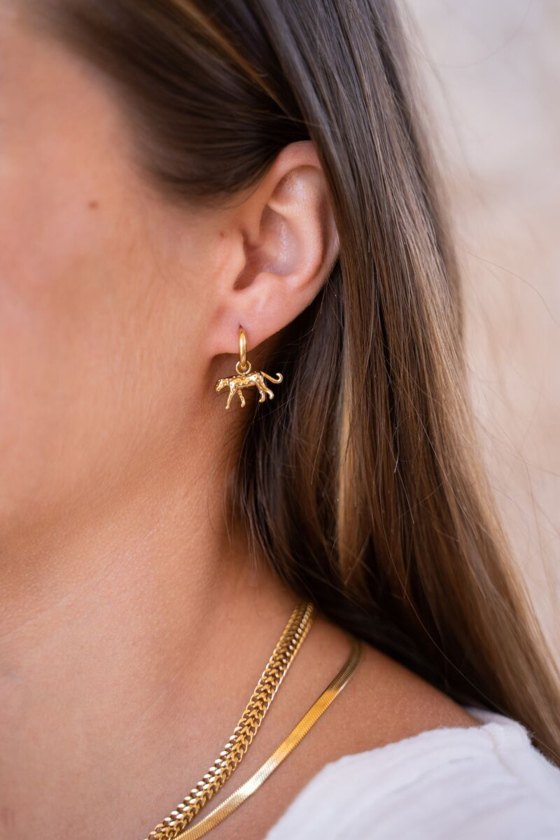 My Jewellery My Jewellery Oorbellen MJ07963 Goud 2