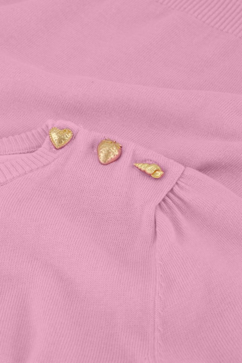 Fabienne Chapot Fabienne Chapot Gebreide Philou Pullover Roze 2