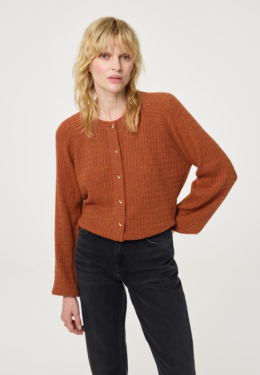 Fabienne Chapot Vest Charlotta Cardiga Bruin 1