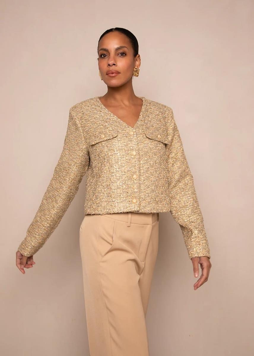 Freebird Blazer Larissa Goud 1
