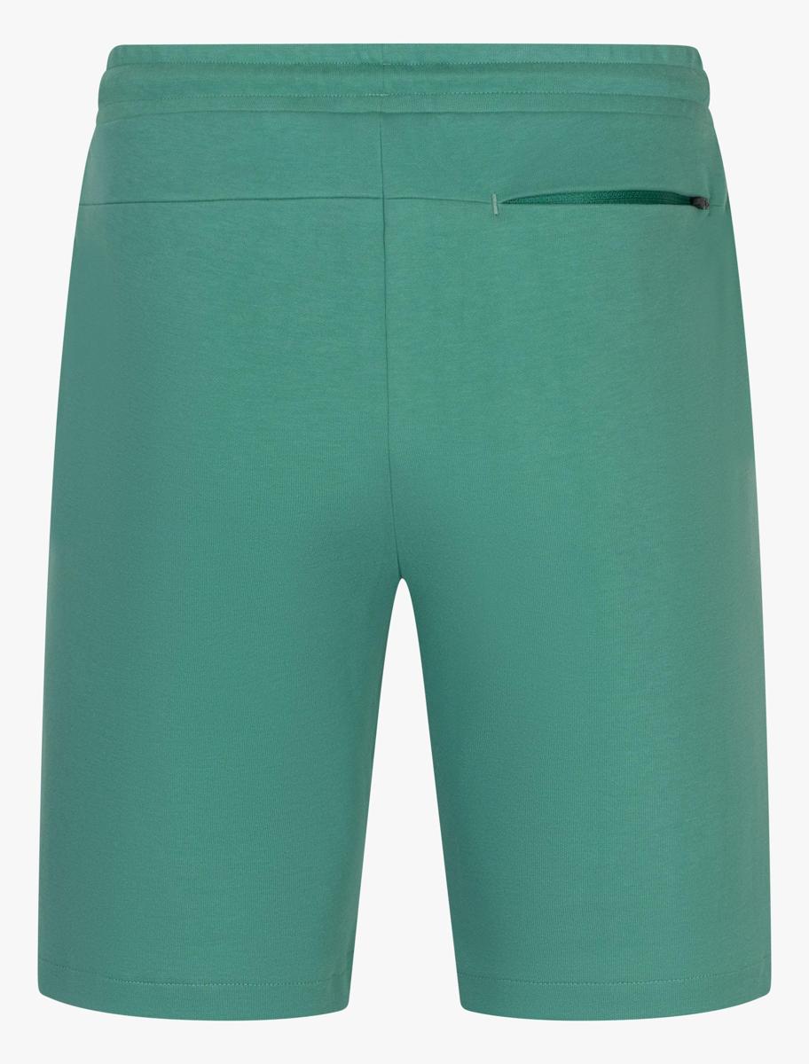 Cavallaro Bermuda 122251005 Groen 2