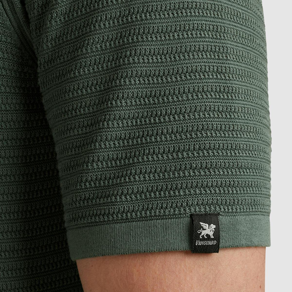 Vanguard Vanguard Polo VPSS2503828 Groen 5