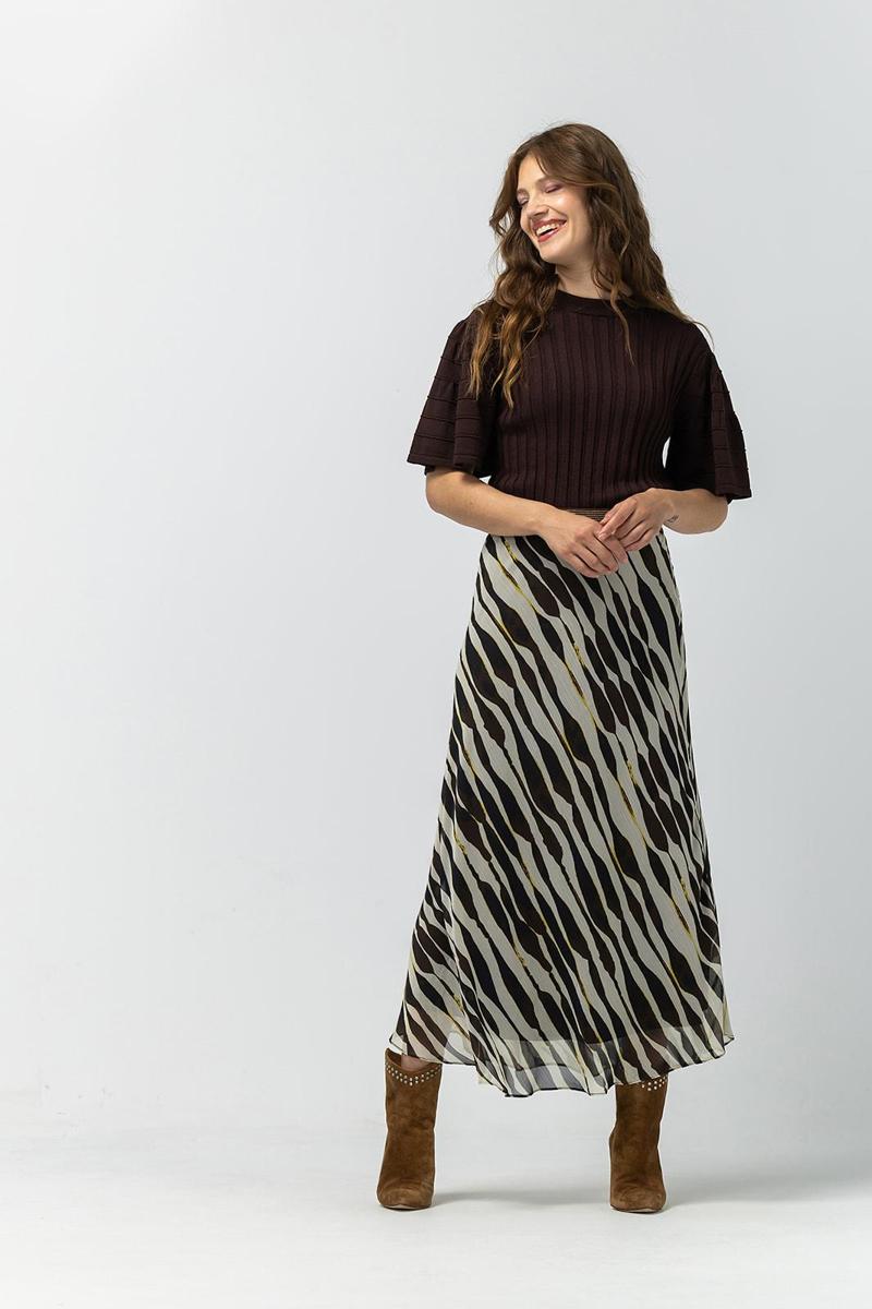 Label DOT Rok 2522009 Bruin 1