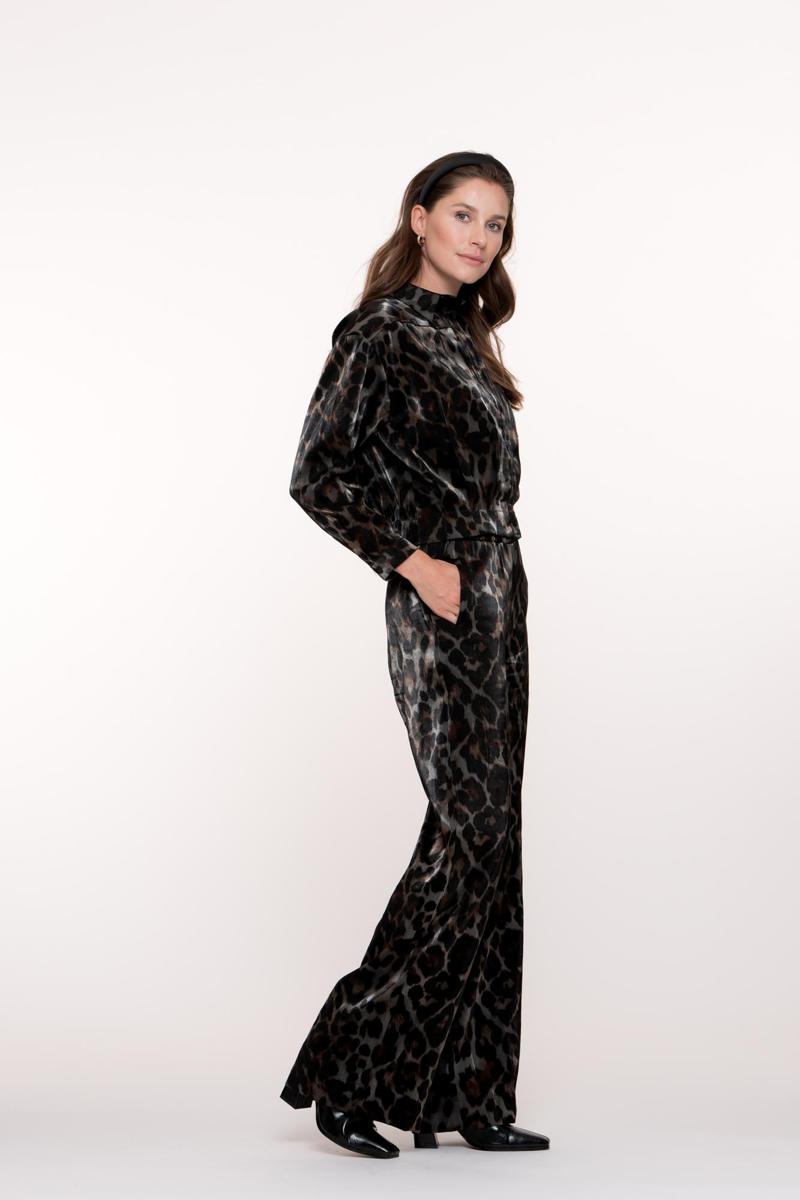 Geisha Pantalon 51682-20 Grijs 4