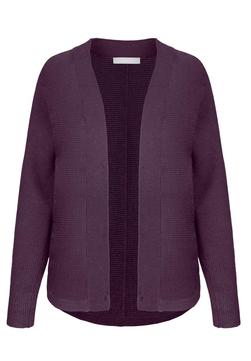 Bianca Vest 68121 Paars 1