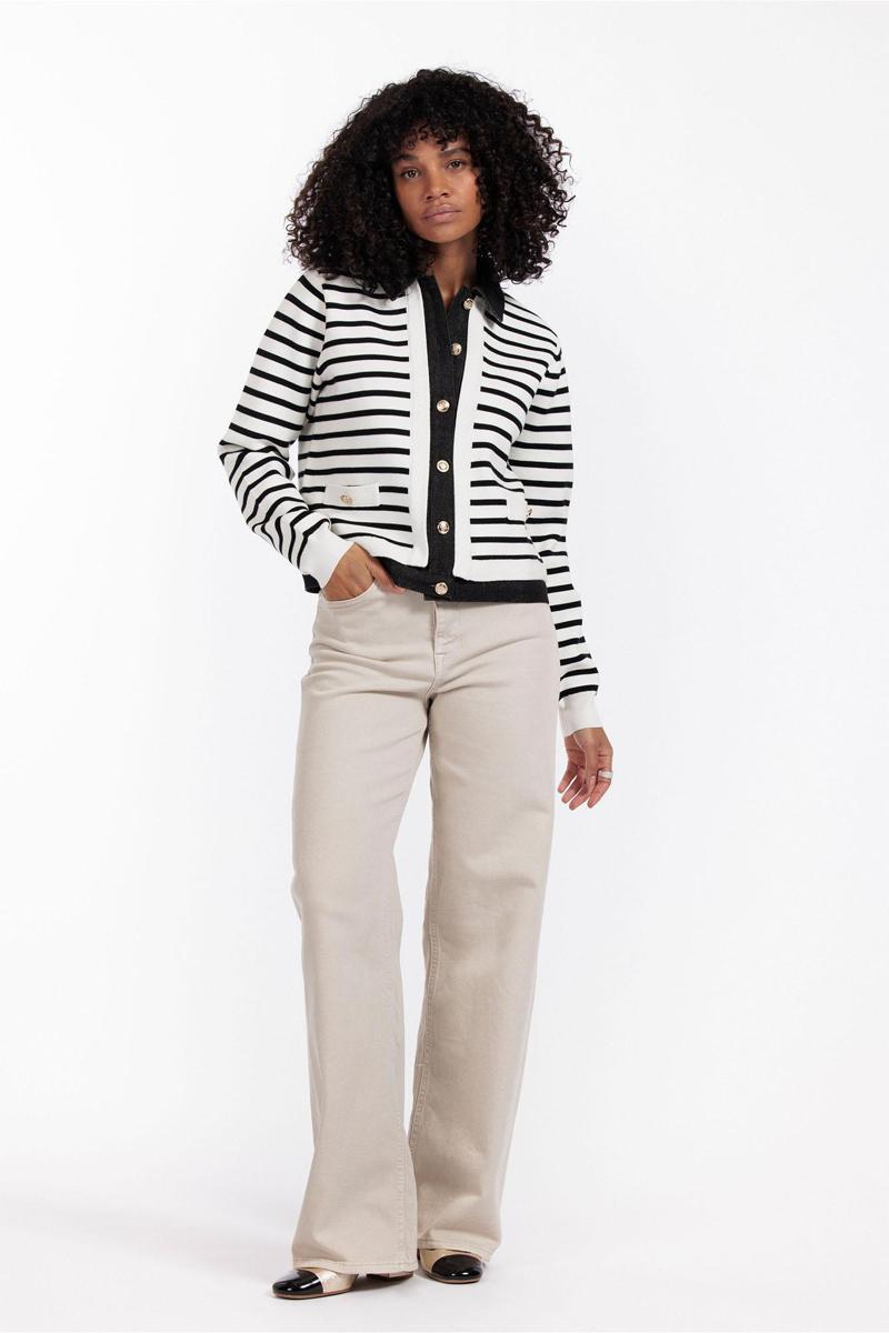 Studio Anneloes Studio Anneloes Blazer Norelli stripe de Wolwit 5