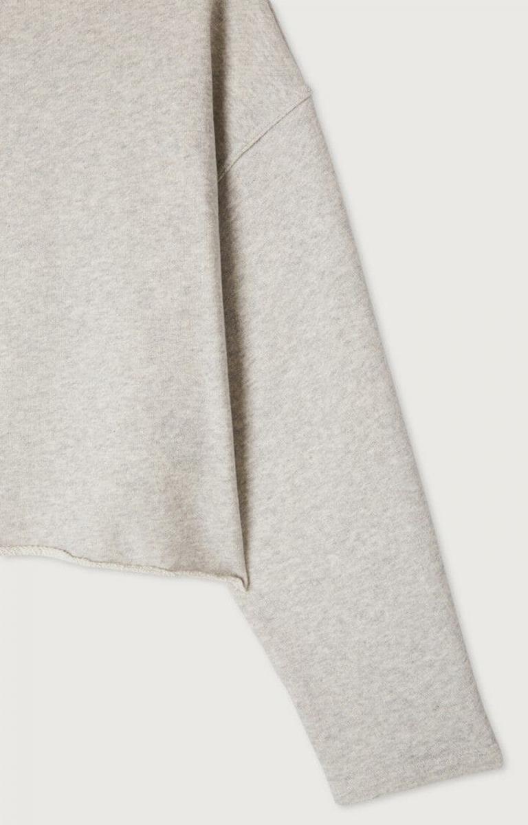 American Vintage Sweater Kodytown Zilver 4