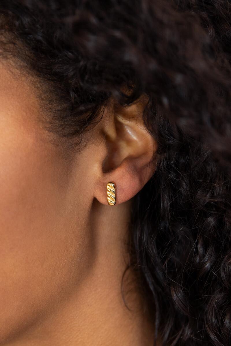 Oorbellen MJ12578