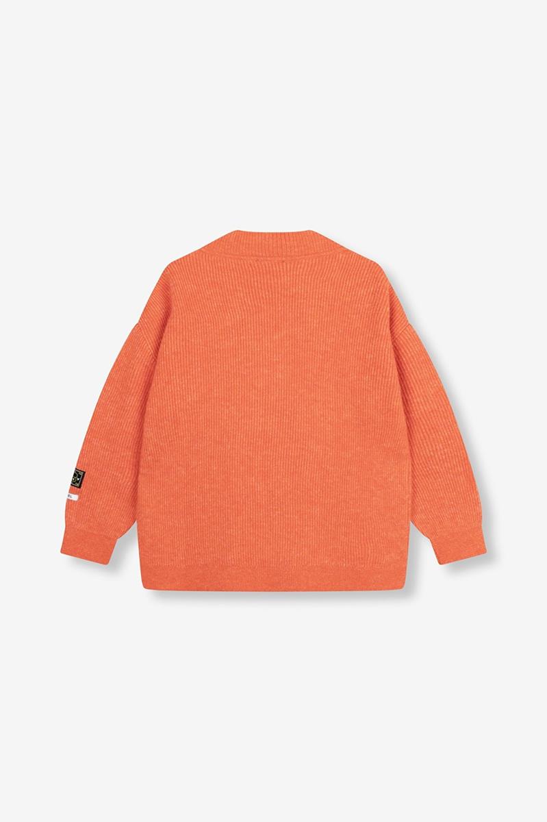 Alix The Label Trui 2508866396 Oranje 3