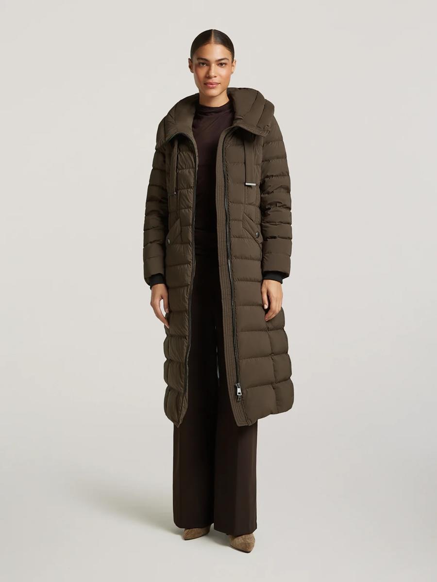 Creenstone Jas Lorraine Bruin 6