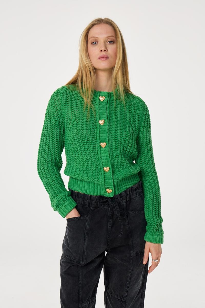 Fabienne Chapot Vest Sun Groen 1
