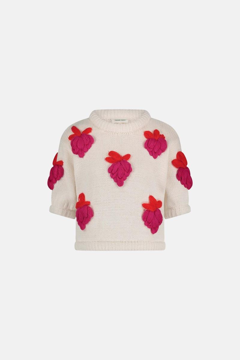 Fabienne Chapot Fabienne Chapot Gebreide Strawberry Pullov Wolwit 2
