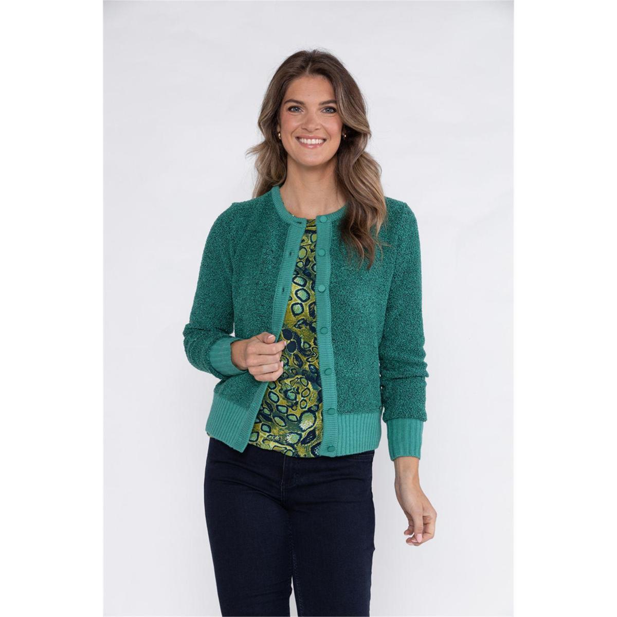 Roberto Sarto Vest 531150 Groen 4