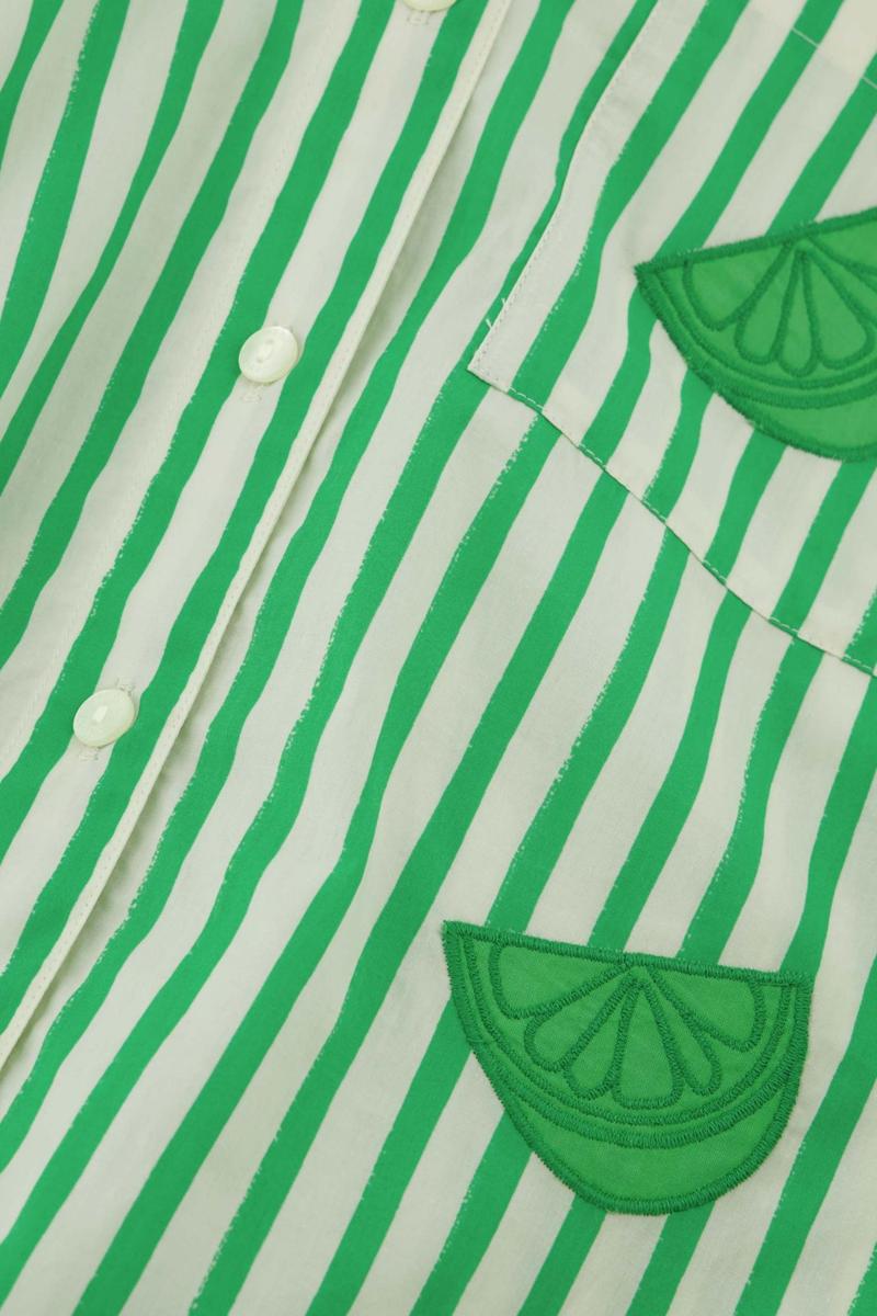 Fabienne Chapot Fabienne Chapot Blouse Alex Blouse Groen 3