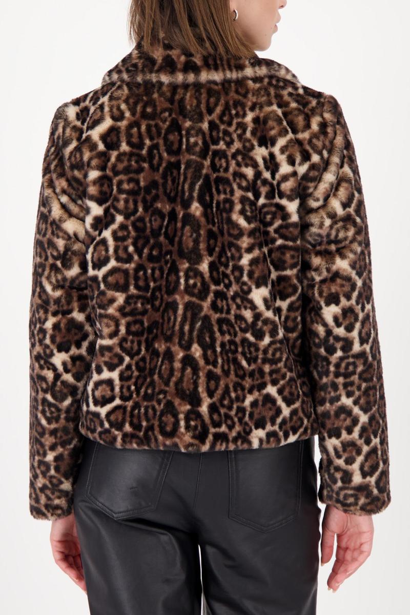 Monari Jack 809417 Bruin 5