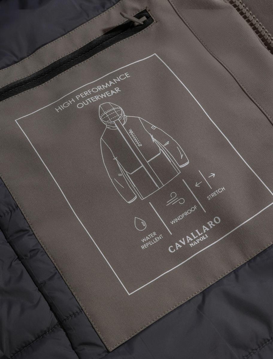 Cavallaro Jas 112255007 Bruin 6