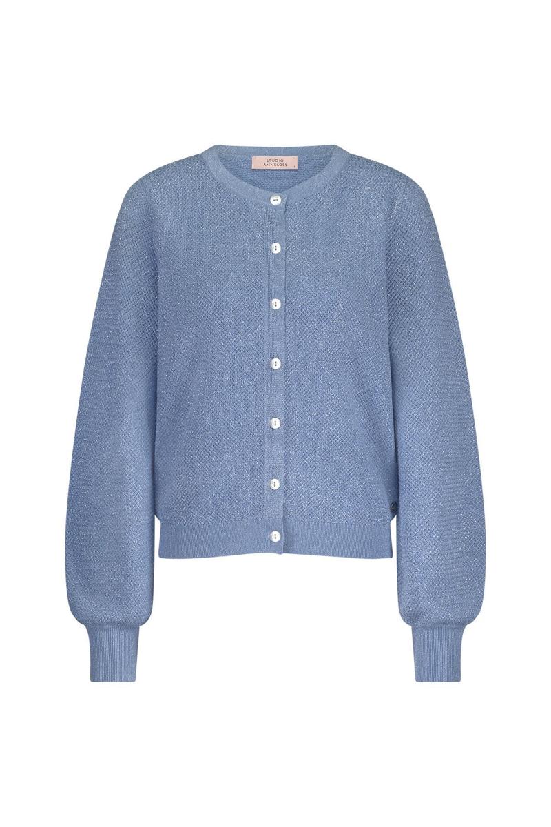 Studio Anneloes Studio Anneloes Vest Tommy twinset car Blauw 2