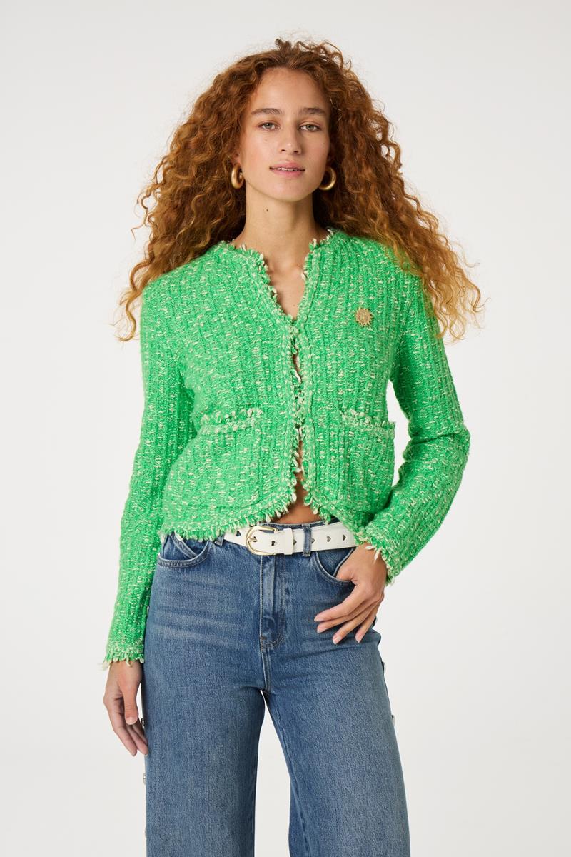 Fabienne Chapot Fabienne Chapot Vest Joshua  Cardigan Groen 1