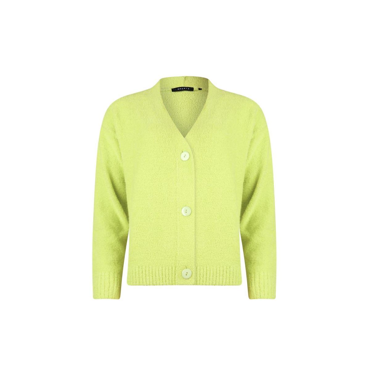 Roberto Sarto Vest 530105 Groen 1