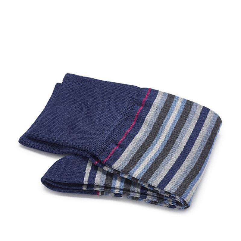 Carlo Lanza Sokken 103 Strisce d'Art Blauw 3