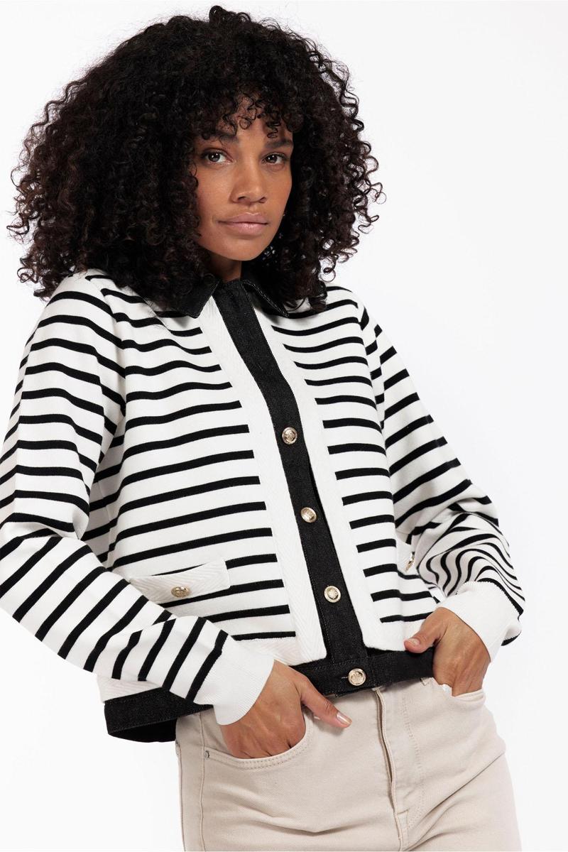 Studio Anneloes Studio Anneloes Blazer Norelli stripe de Wolwit 4
