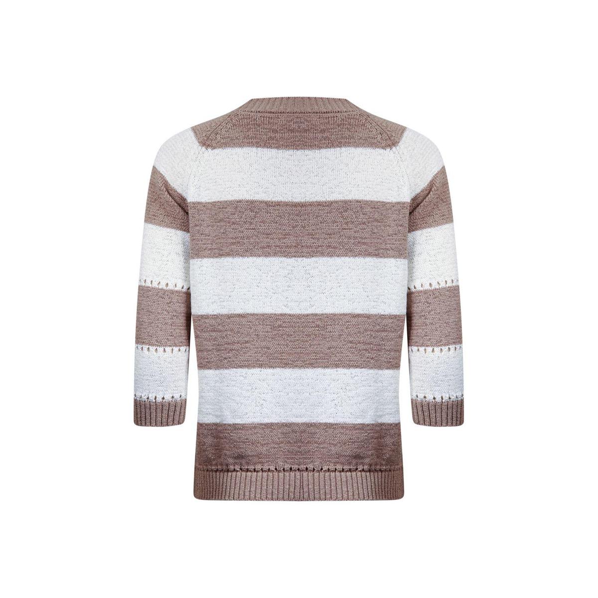 Roberto Sarto Roberto Sarto Trui 511198 Beige 4