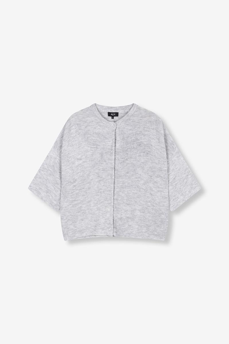Alix The Label Alix The Label Vest 2502741099 Zilver 2